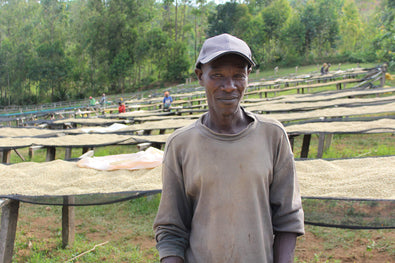 Burundi Coffee Guide