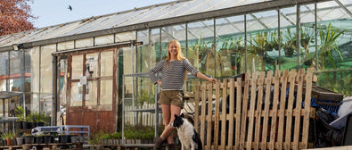 Winds of Change: Peat-Free Houseplants