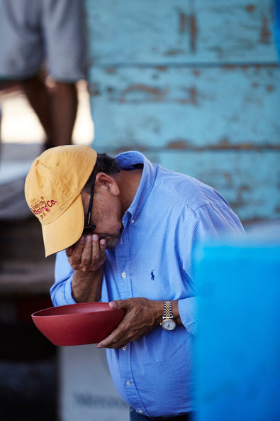 B Impact Report, 2023/24