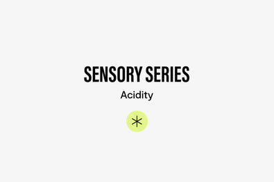 Sensory Series 02: What is Acidity in Coffee?