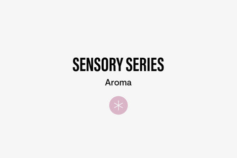 Sensory Series 05: Coffee Aroma Explained