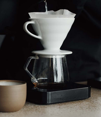 v60 brewing guide