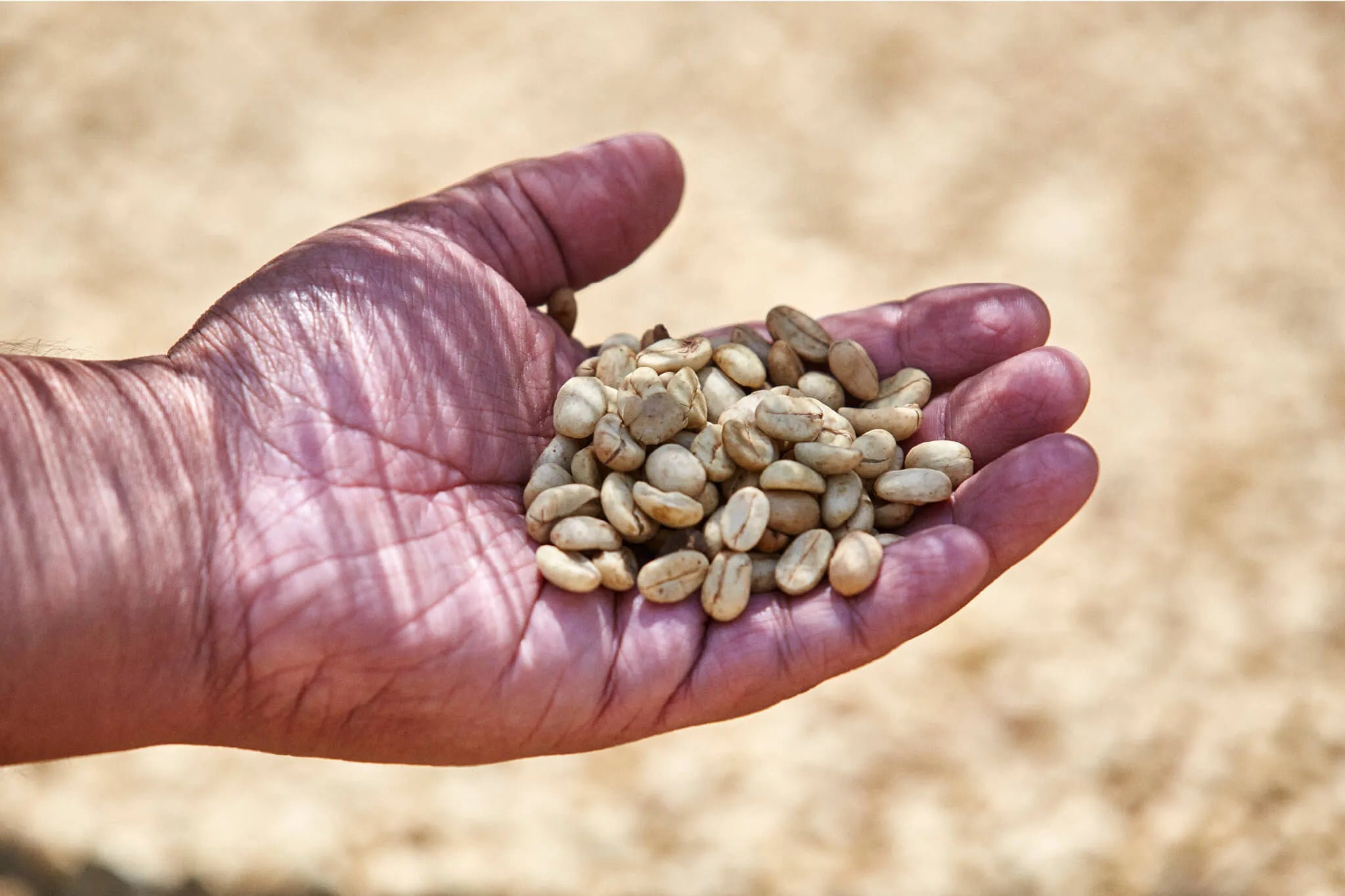 What is Speciality Coffee?