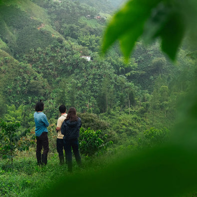 Sourcing Photo Diaries: Colombia 2024