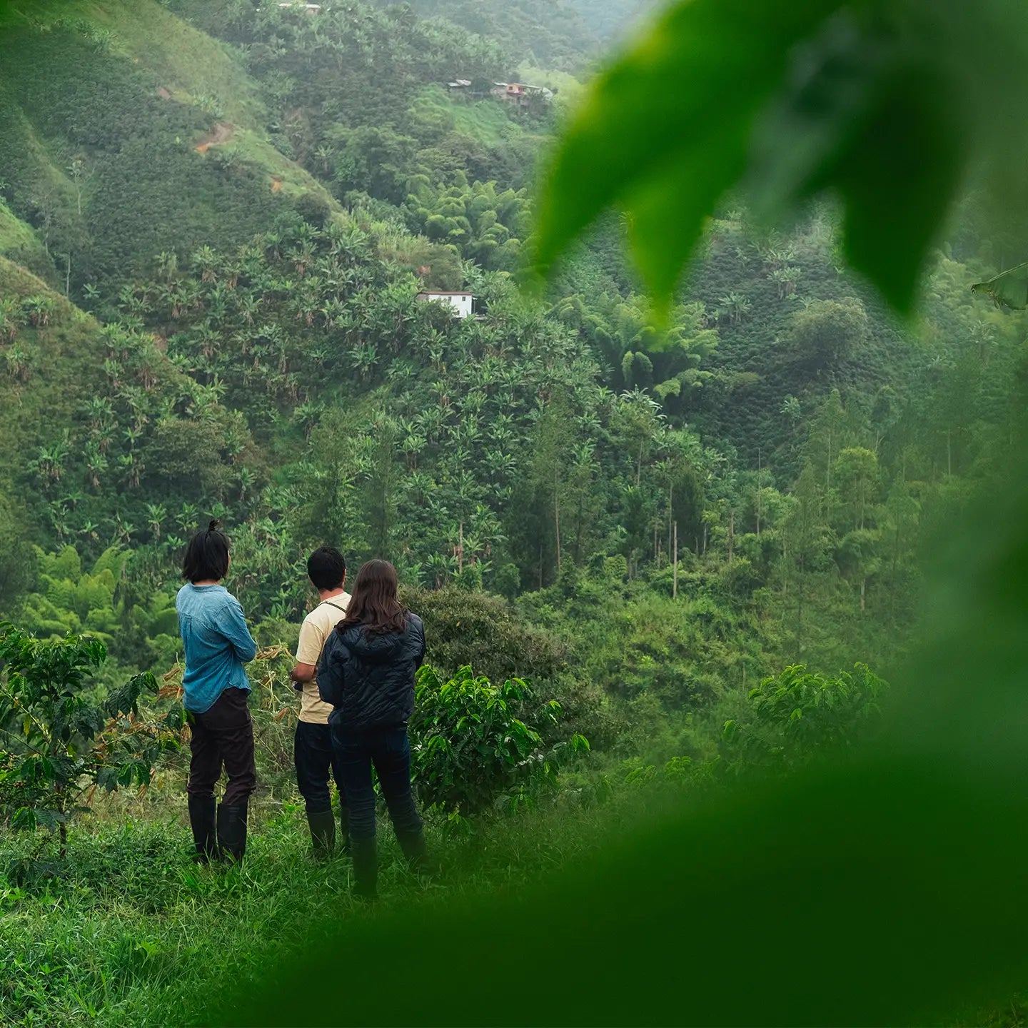 Sourcing Photo Diaries: Colombia 2024