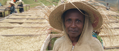 origin-coffee-journal-ethiopia-sourcing