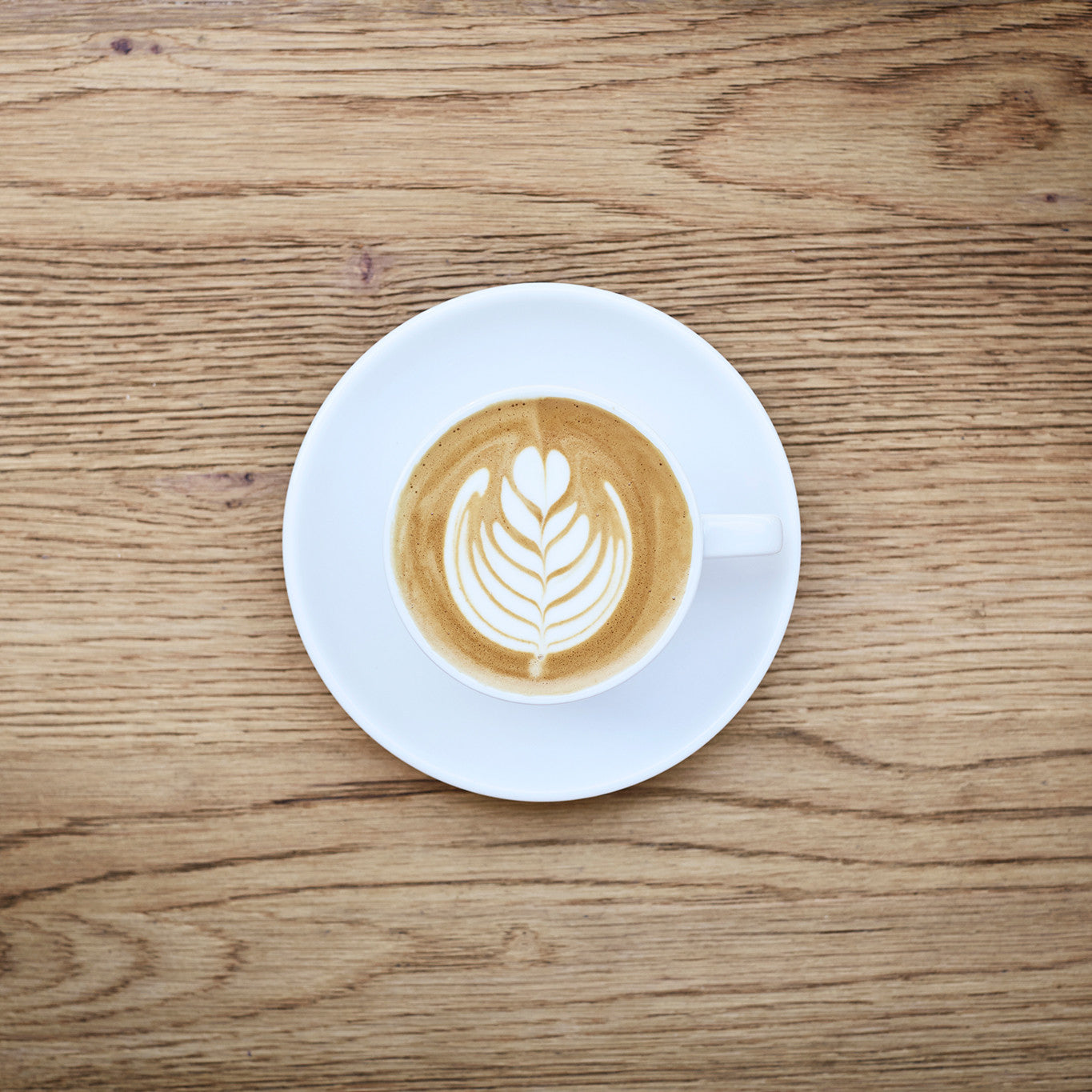 Latte Art Enthusiast Course | London