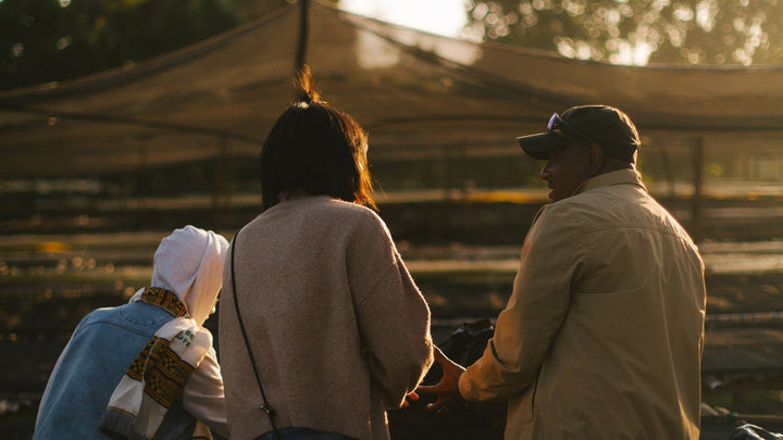 Meet our Christmas Coffee Producers