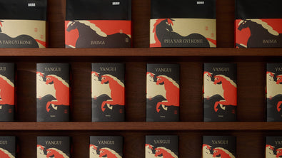 Five Questions with Freda | Lunar New Year