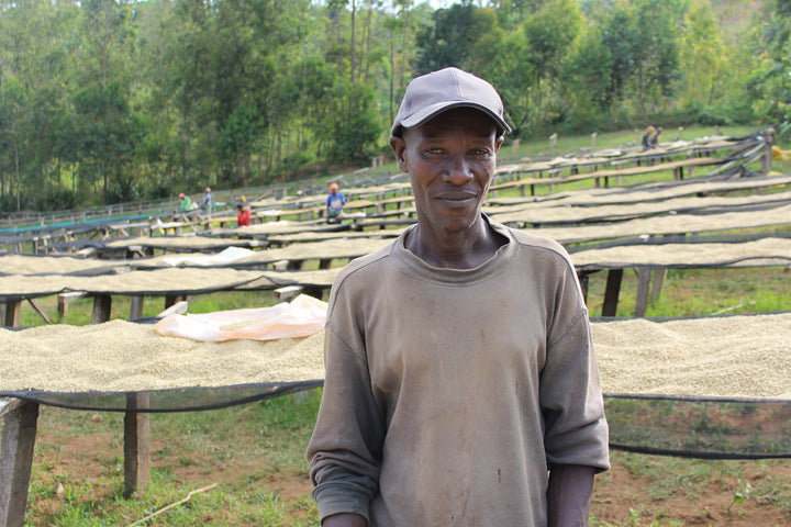 Burundi Coffee Guide