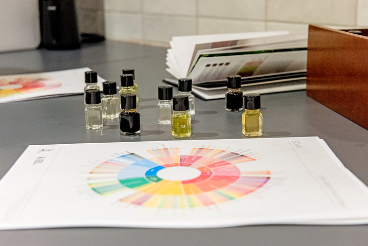 What do Tasting Notes in Coffee Mean?