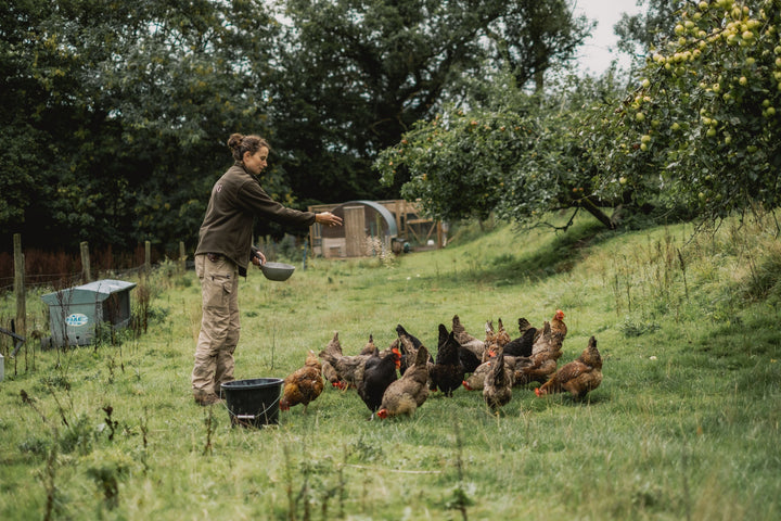 First Cup | Part 2: THE PIG