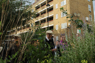 Grow the City - Guerrilla Gardening Event