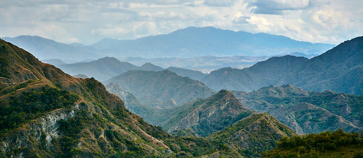 15 Years in Pursuit of Exceptional Coffee. Our Search Never Ends.