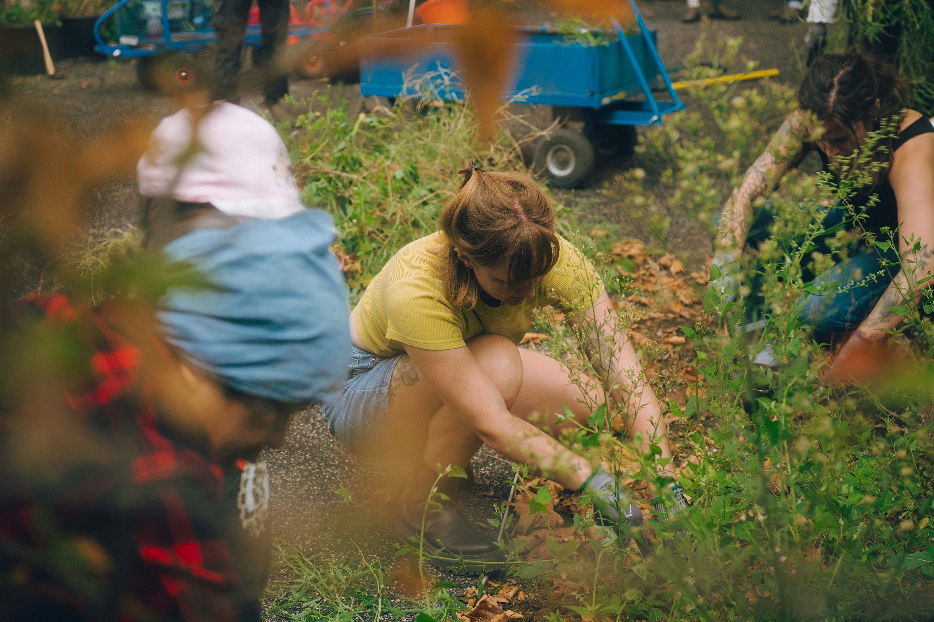 Grow the City: Reflections from our Guerrilla Gardening Event