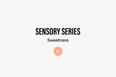 Spinning wheel containing 6 senses, arrow stops and points at coffee sweetness
