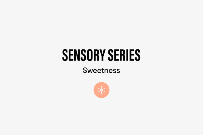 Spinning wheel containing 6 senses, arrow stops and points at coffee sweetness