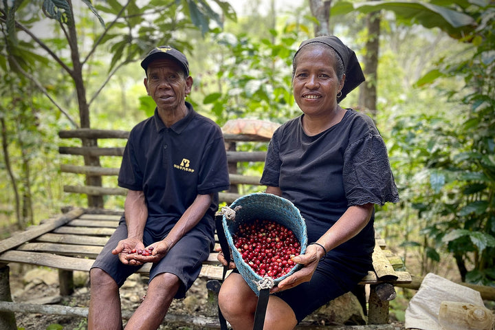 Timor Leste coffee producers