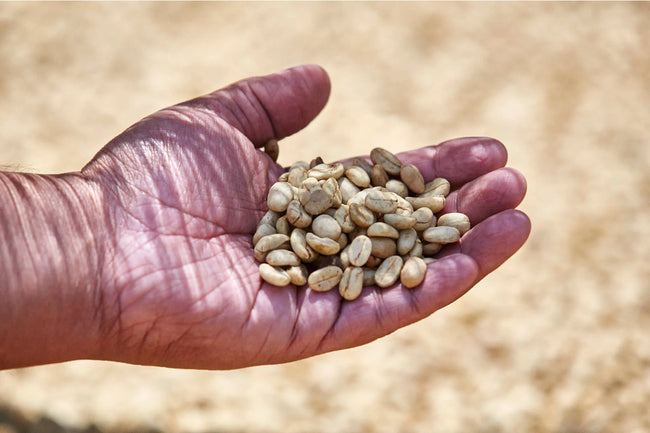 What is Speciality Coffee?