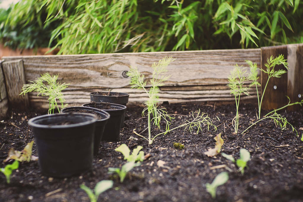 How to Make Compost at Home | Origin Coffee Roasters