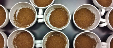 origin-coffee-journal-ethiopia-sourcing