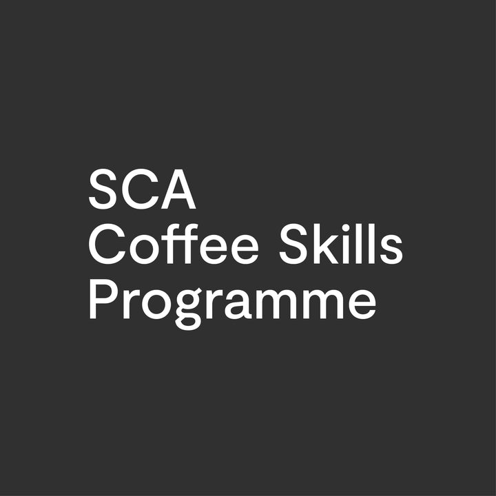 SCA-Coffee-Skills-Programme