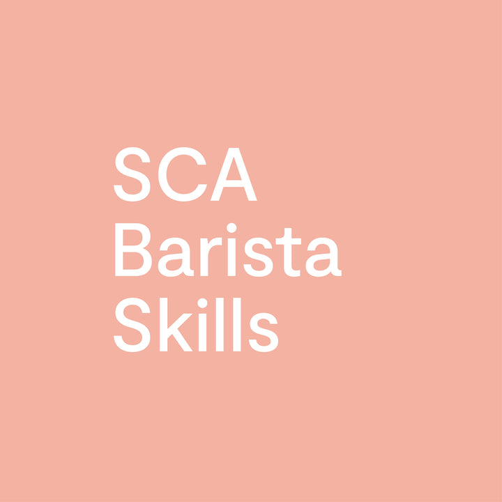 SCA Barista Training Courses
