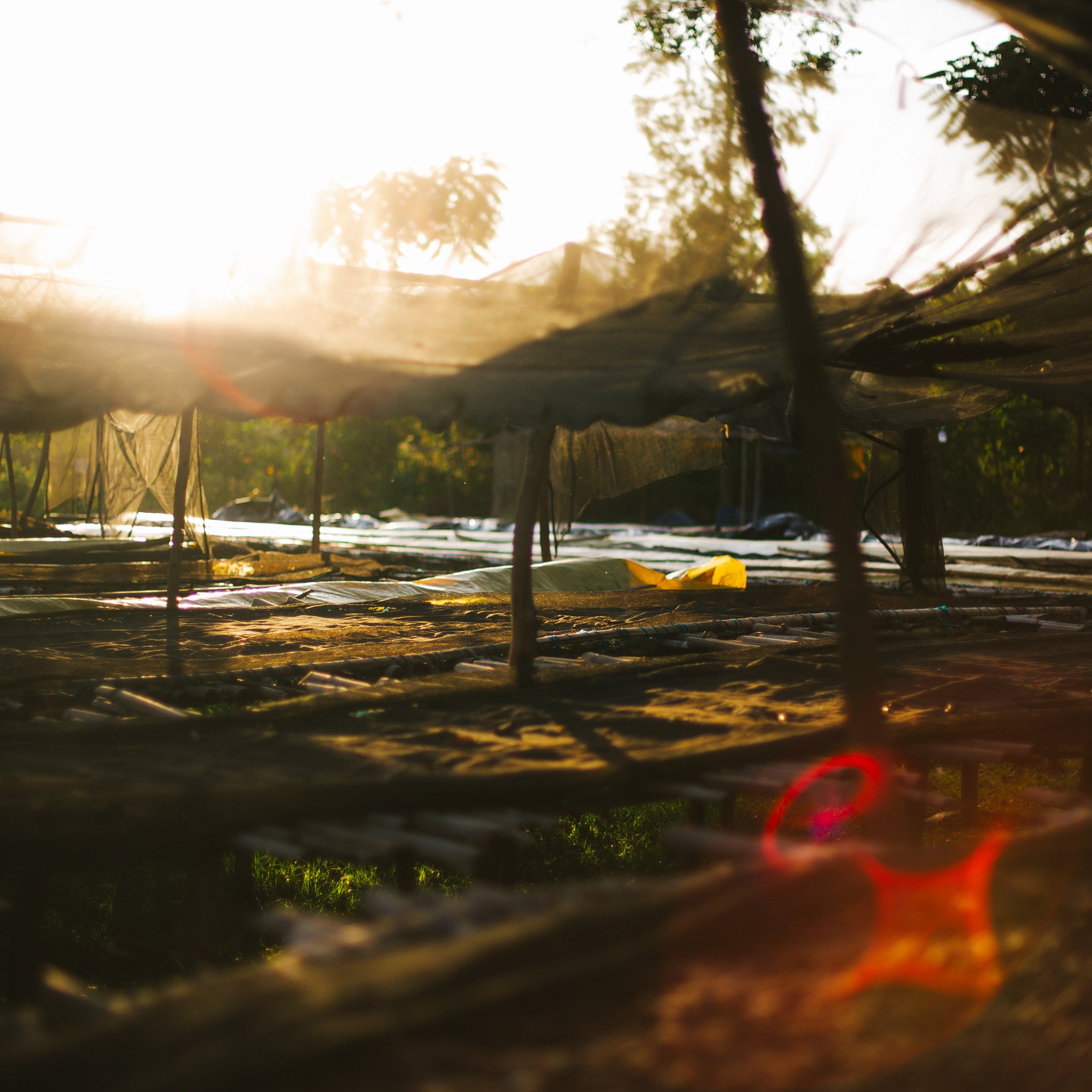 2025. Europe's Most Sustainable Brand