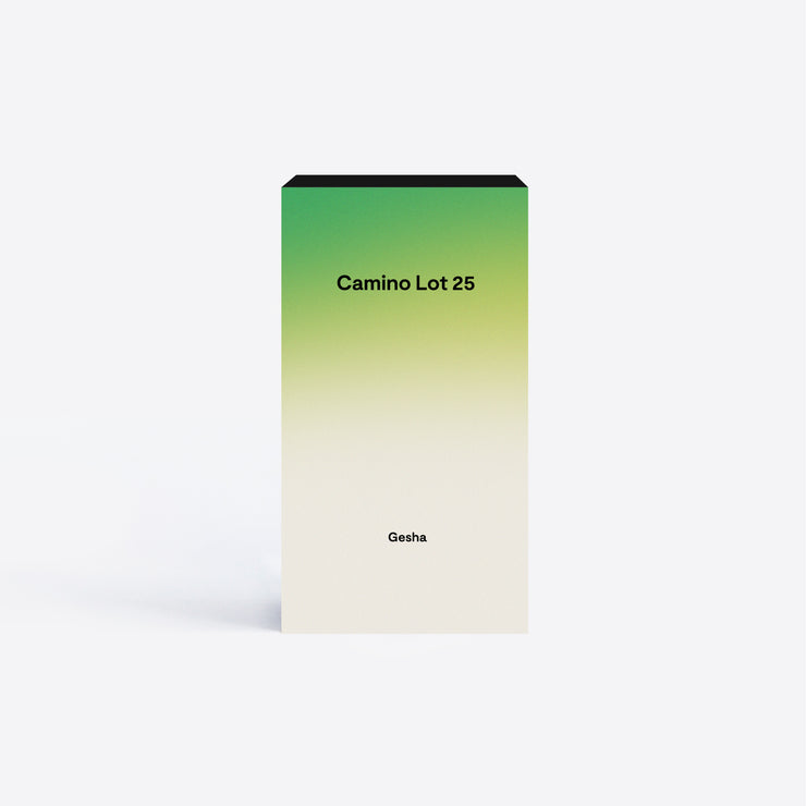 [Pre-order] Camino Gesha Lot 25