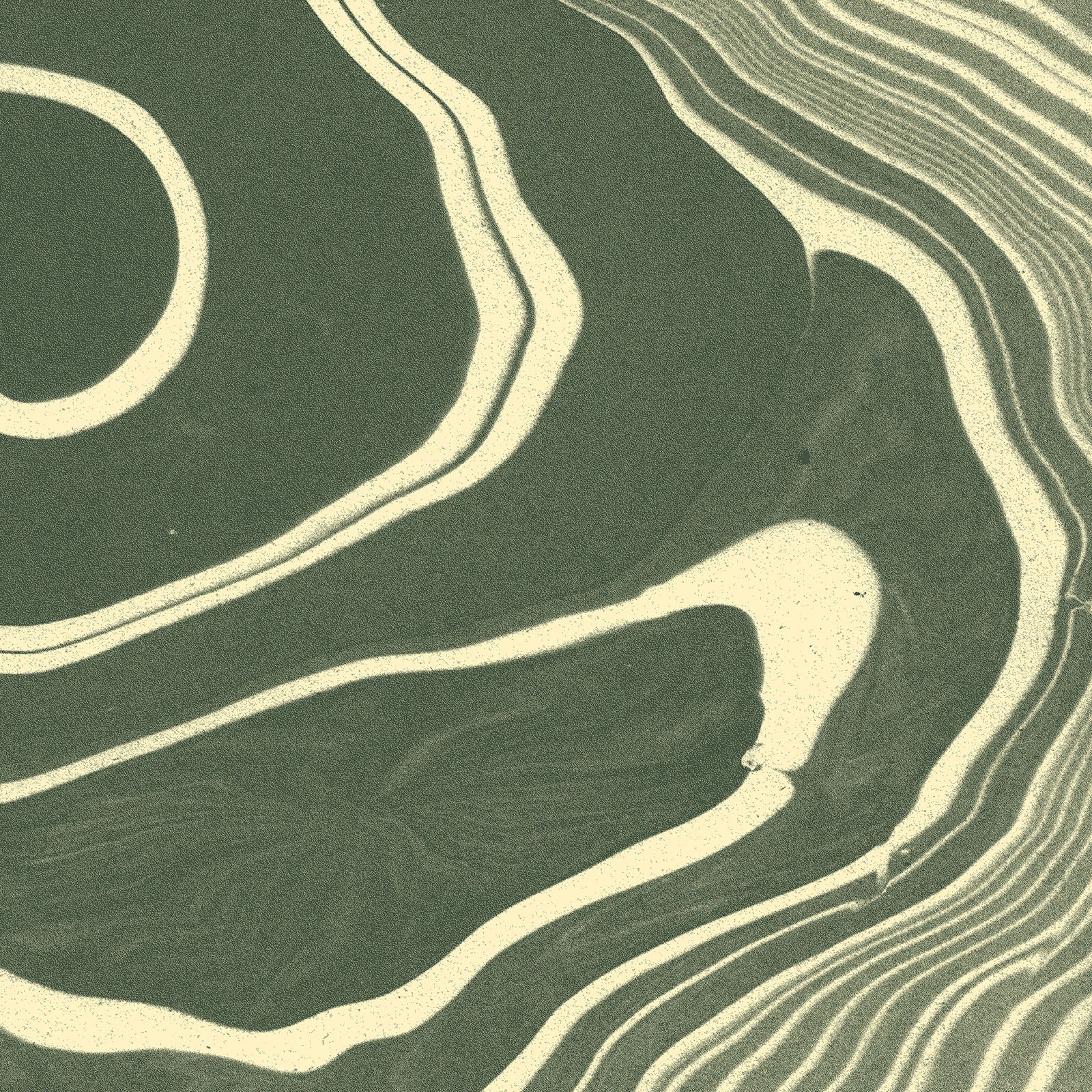 Women in Coffee | Coffee Tasting Experience