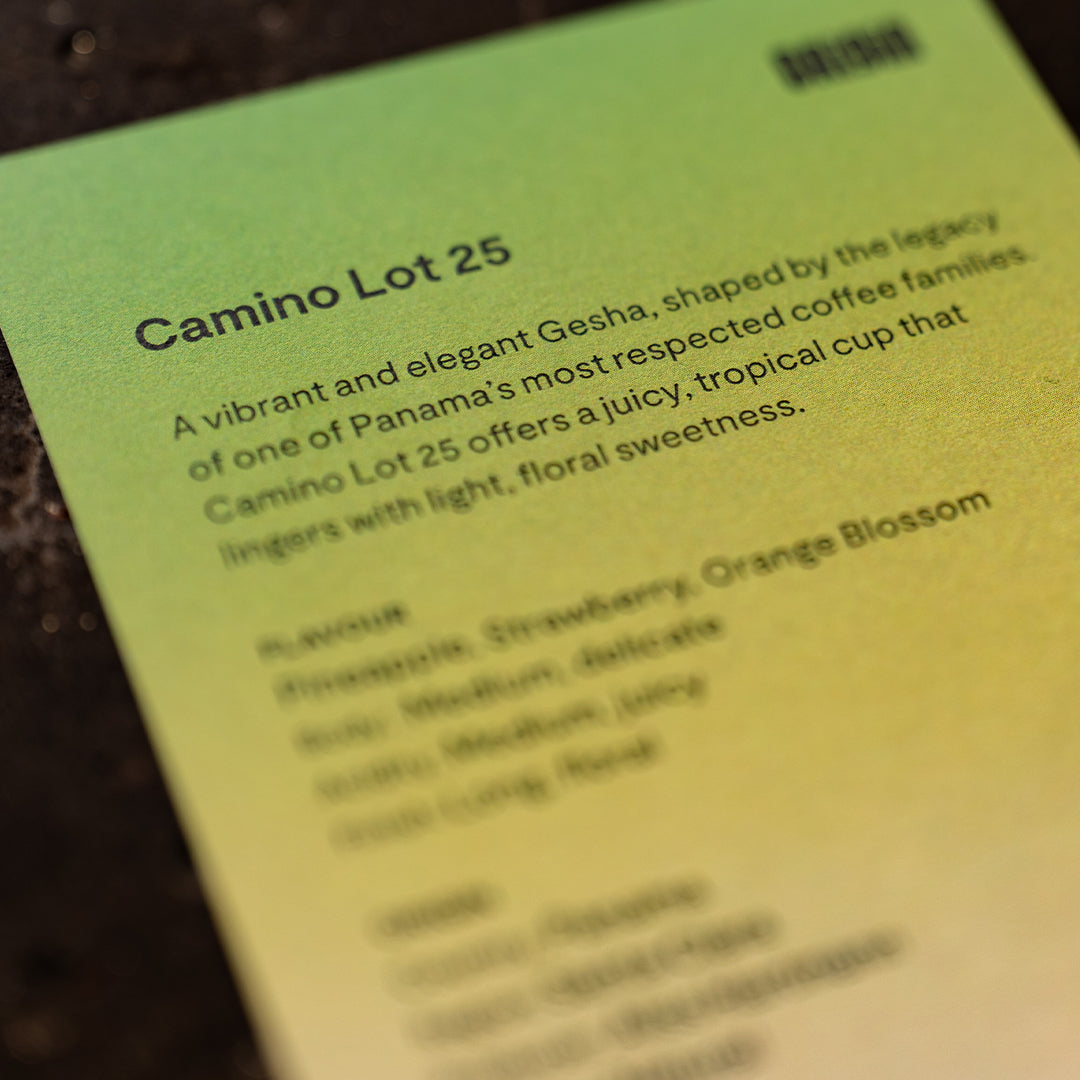 [Pre-order] Camino Gesha Lot 25