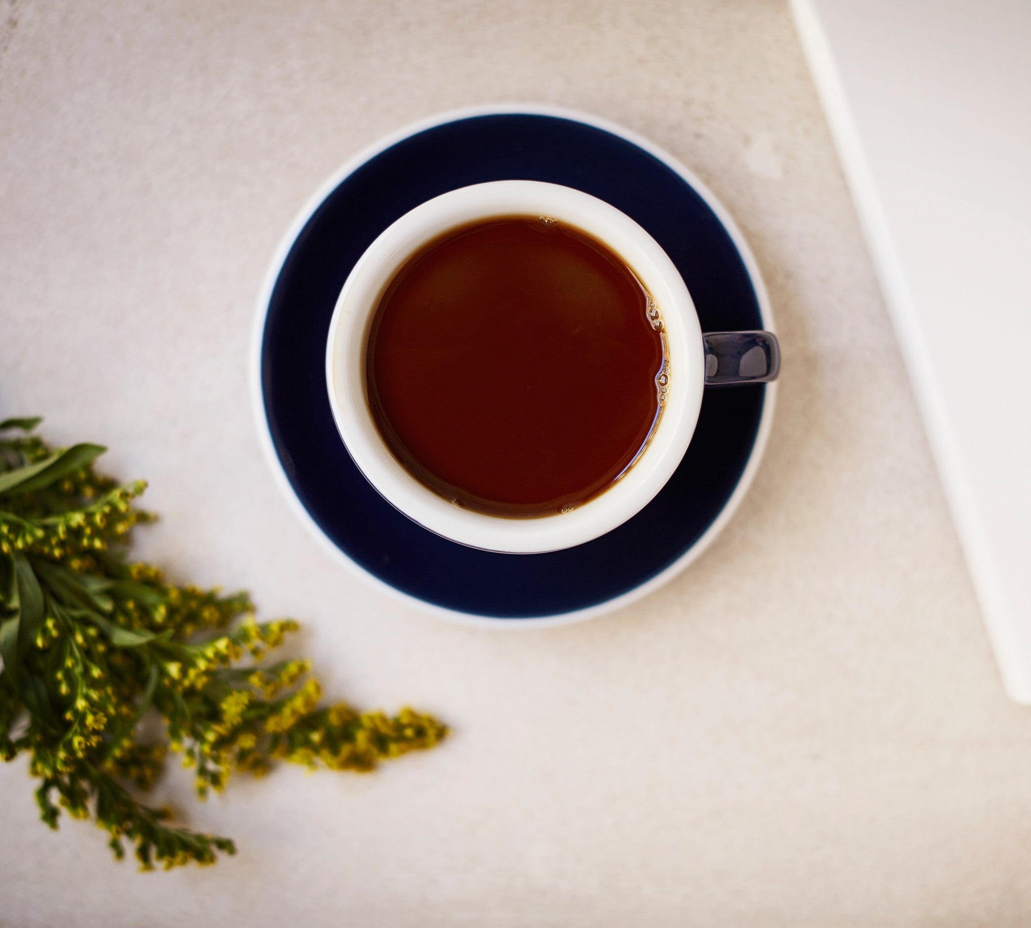Home Filter Brewing Course London