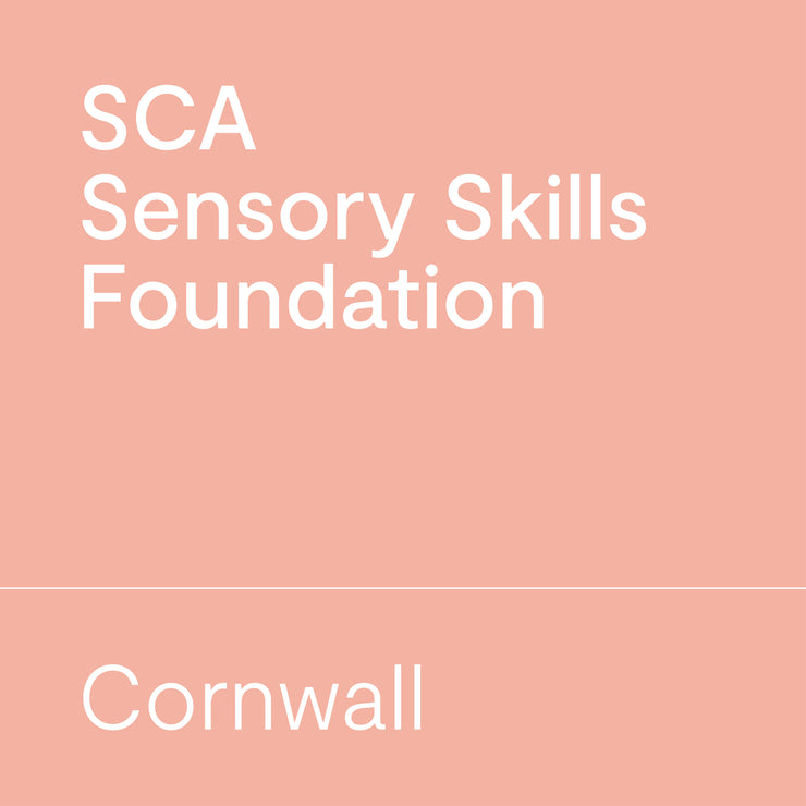 SCA Sensory Skills Foundation | Cornwall