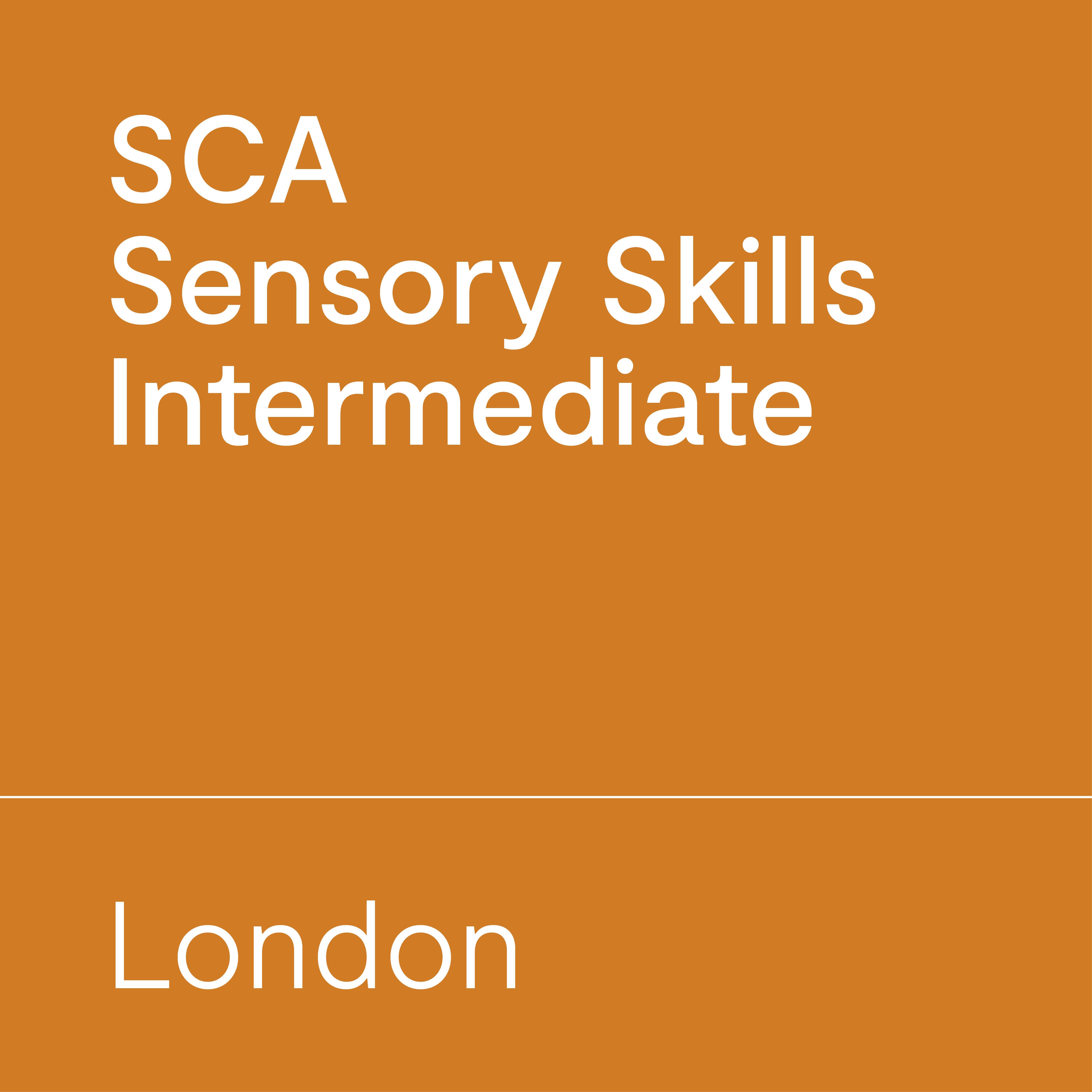 SCA Sensory Skills Intermediate London