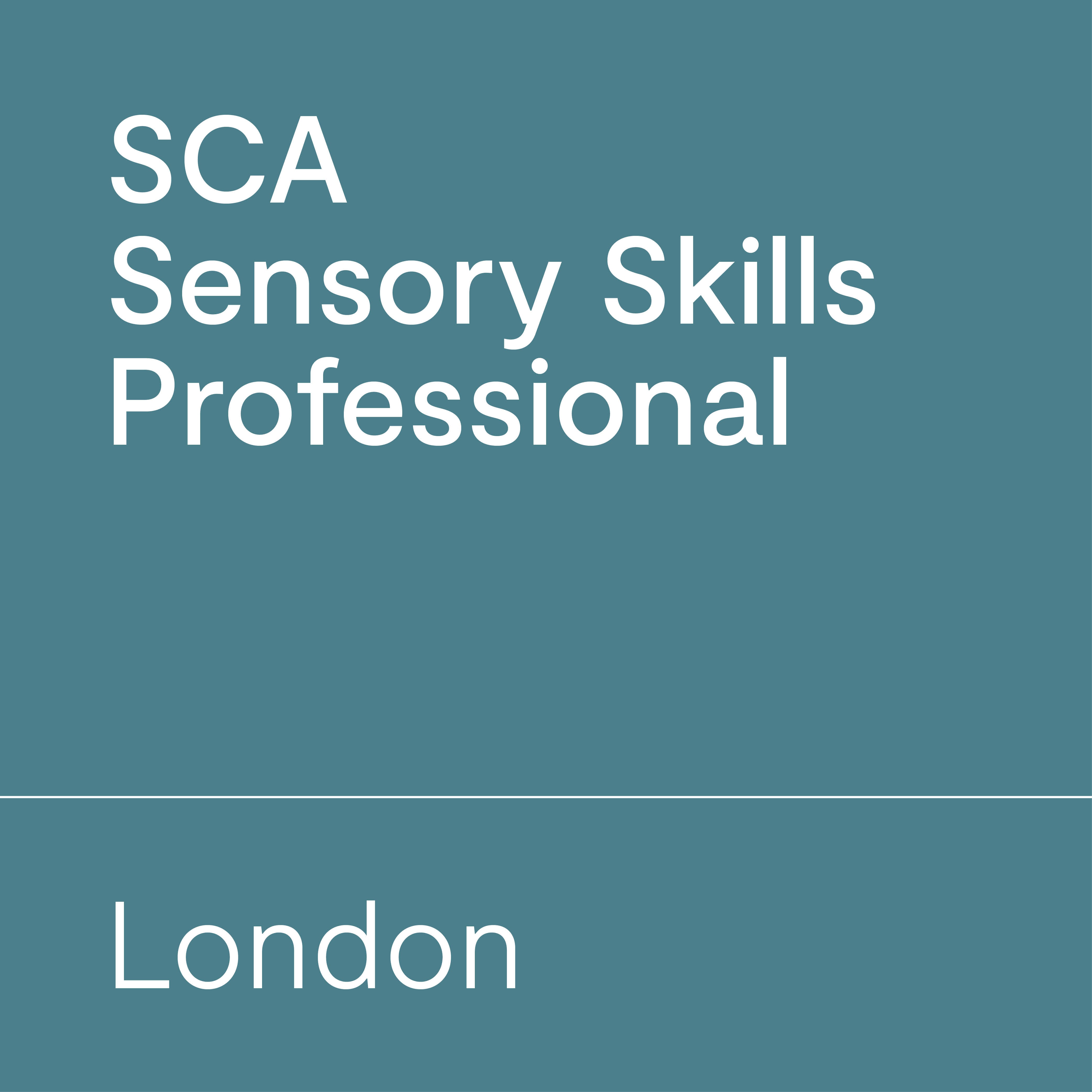 SCA Sensory Skills Professional London